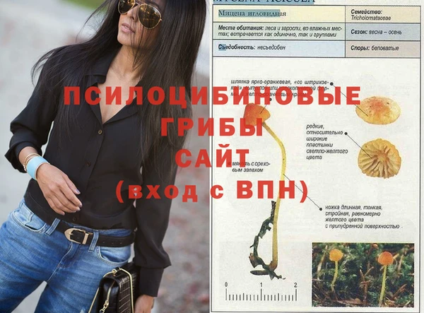 наркотики Алексин